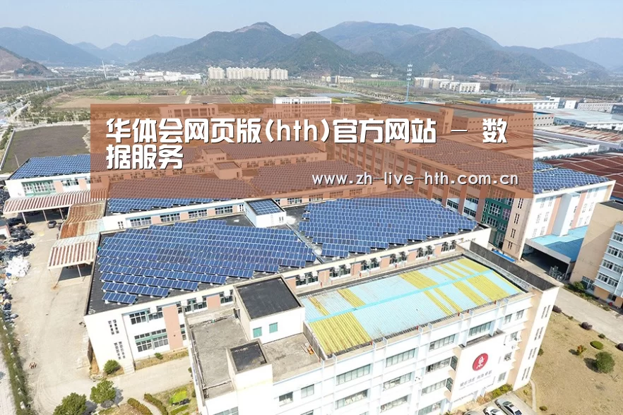 案例展示三