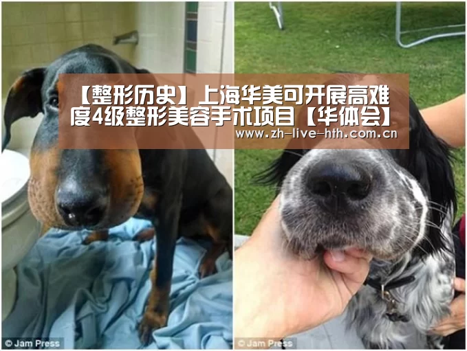 华体会棋牌登录