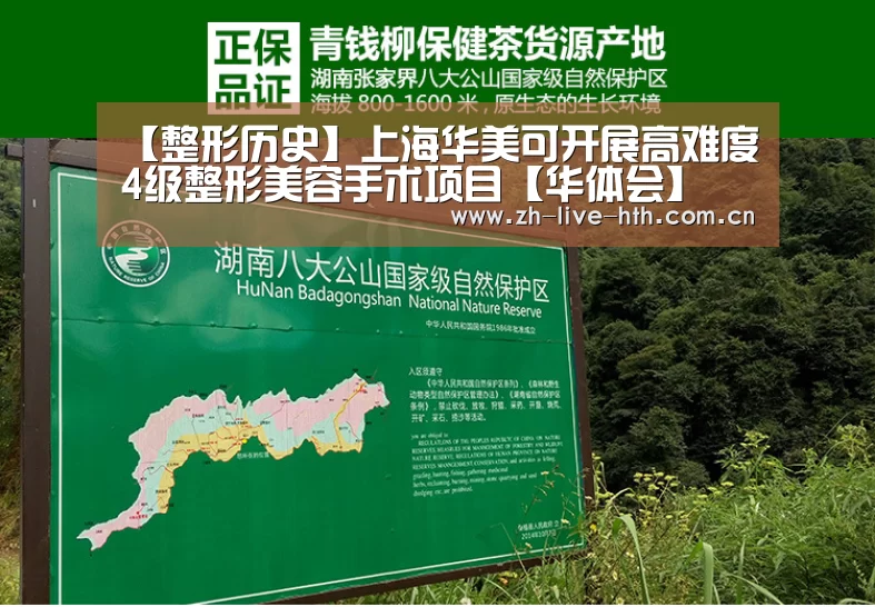 华体会