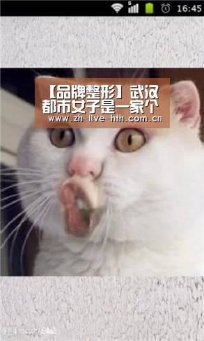 华体会